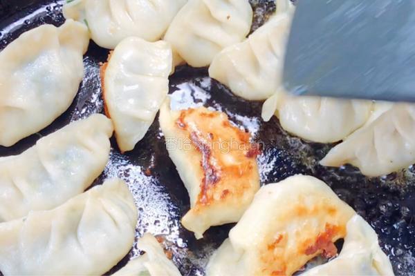 香油鸡肉煎饺的做法图解15