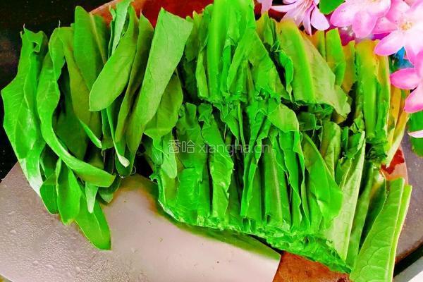蒜茸油麦菜的做法图解2