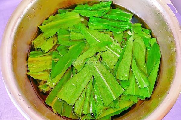 蒜茸油麦菜的做法图解3