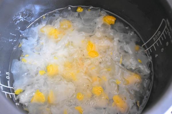 水果银耳汤羹的做法图解7