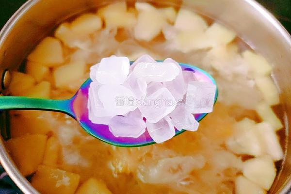 苹果银耳汤的做法图解8
