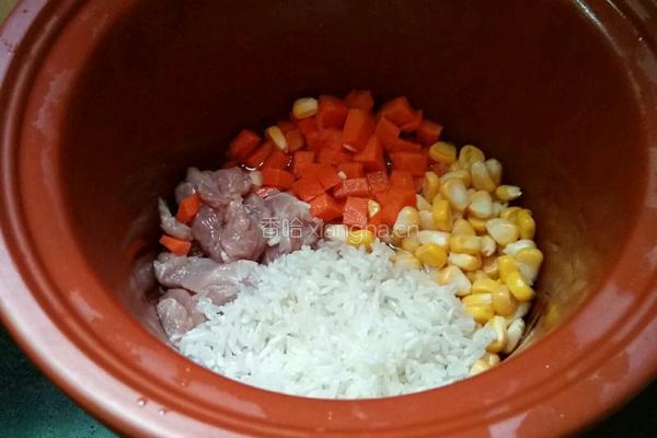 玉米胡萝卜肉片粥的做法图解3