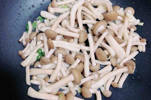 蟹味菇骨汤粉丝煲的做法图解5