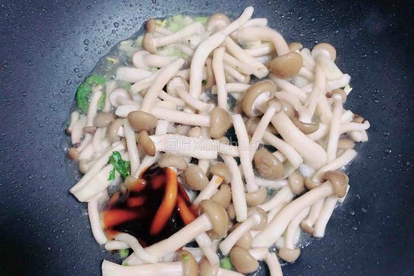 蟹味菇骨汤粉丝煲的做法图解6