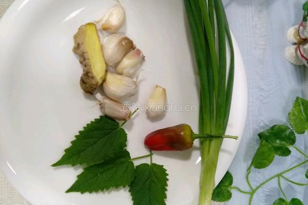 土鲫鱼豆腐汤的做法图解5