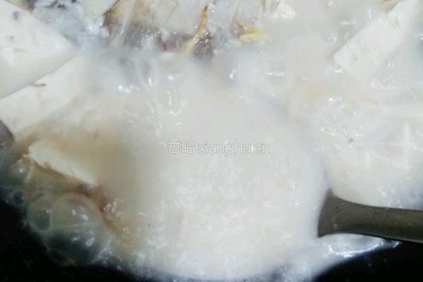 土鲫鱼豆腐汤的做法图解17