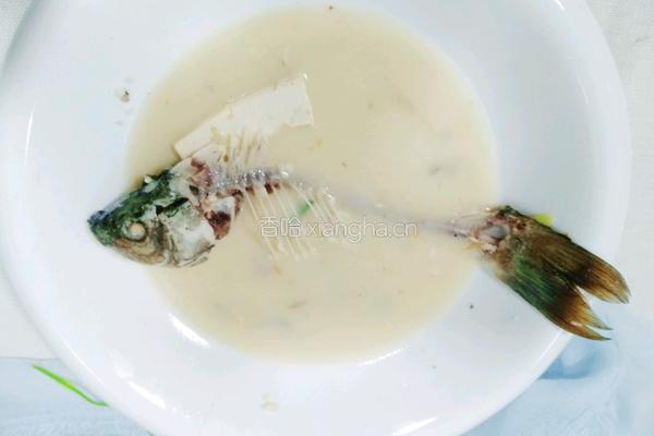 土鲫鱼豆腐汤的做法图解23