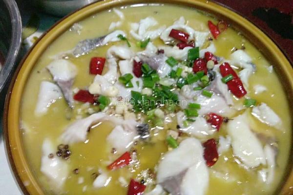 酸菜鱼的做法图解4