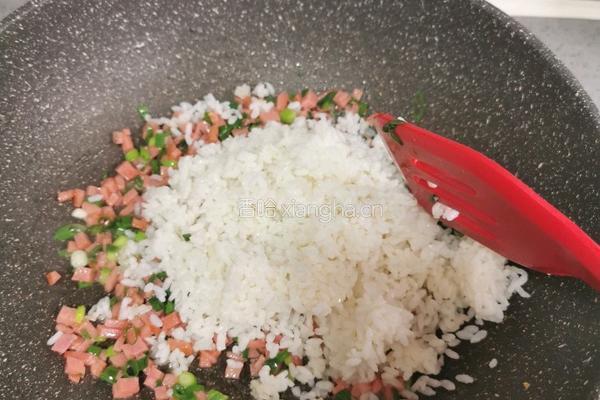 芝士焗饭的做法图解6