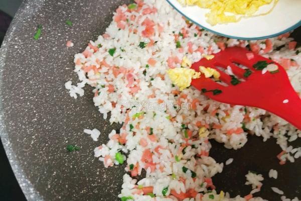 芝士焗饭的做法图解10