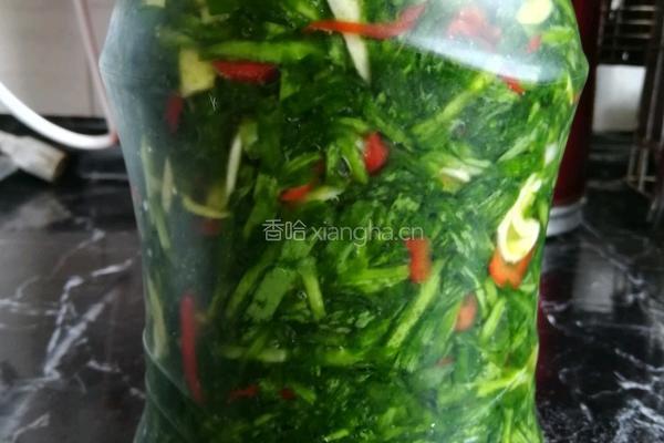 腌韭菜的做法图解7