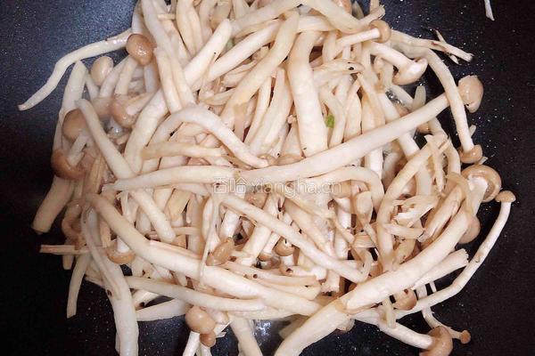 鸭肝菌汤面的做法图解4