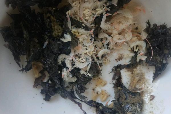 鸡蛋混沌汤的做法图解2