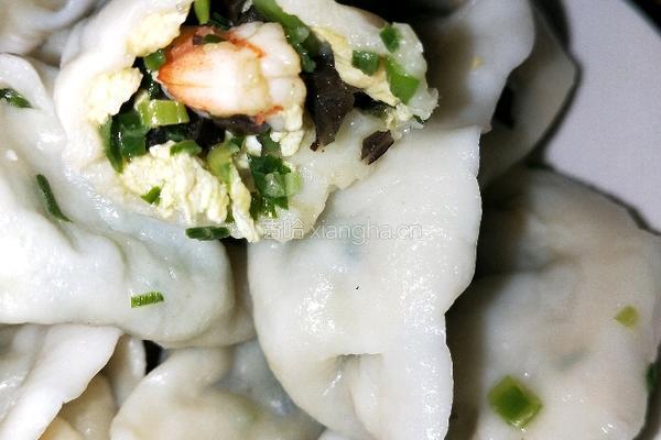 素三鲜虾仁饺子的做法图解13