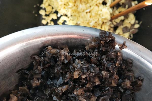 素三鲜虾仁饺子的做法图解7