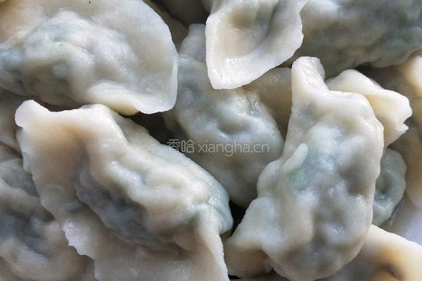 素三鲜虾仁饺子的做法图解12