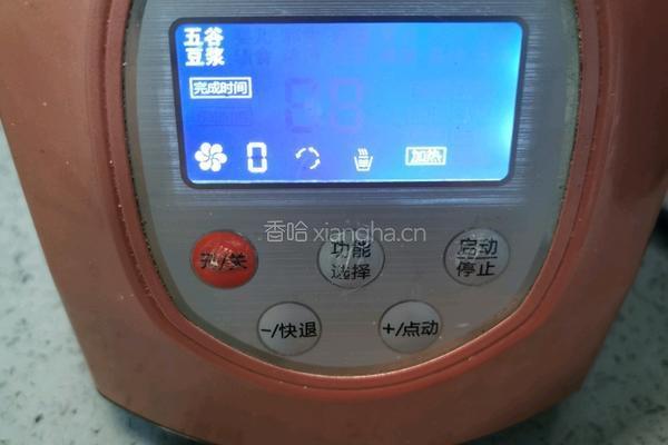花生米浆的做法图解8