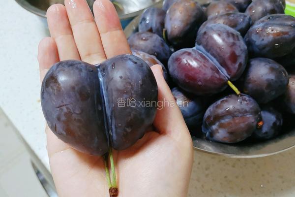 自制西梅干的做法图解1