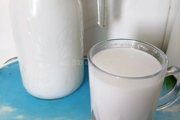 鲜榨椰子汁的做法图解6