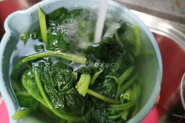 菠菜拌粉丝的做法图解7