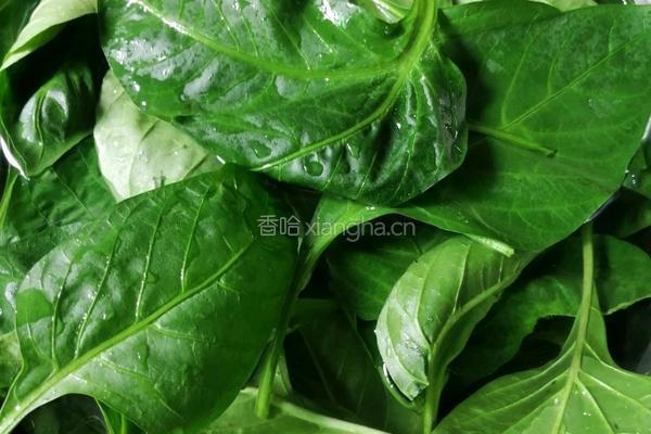 辣椒叶鸡肉片汤的做法图解3
