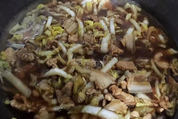 猪肉白菜粉条的做法图解4