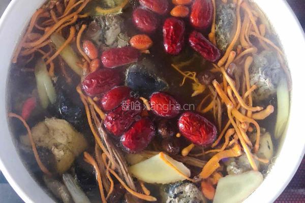 虫草茶树菇板栗煲乌鸡的做法图解5
