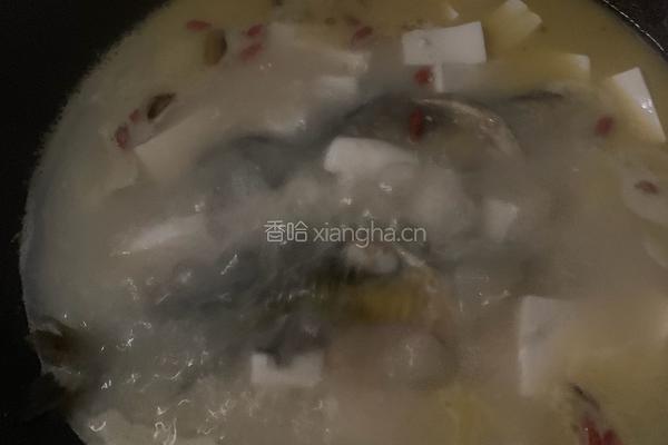 昂刺鱼豆腐汤的做法图解4