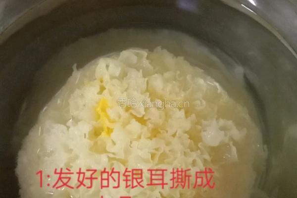 凉拌银耳的做法图解1