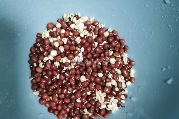 红豆薏米莲子汤的做法图解4