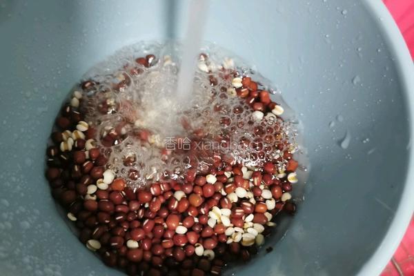 红豆薏米莲子汤的做法图解5