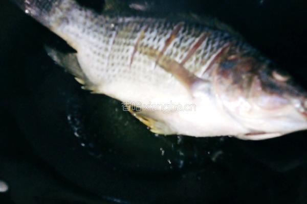 福寿鱼爱上嫩豆腐的做法图解4