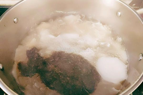 白萝卜银耳肉圆汤的做法图解12