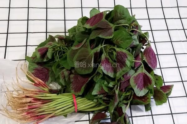 苋菜炒鸡蛋的做法图解1