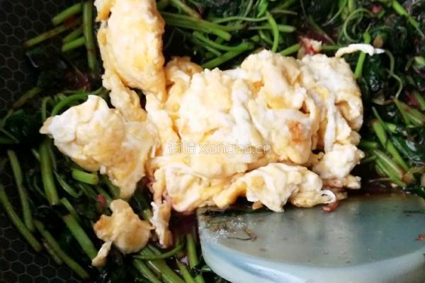 苋菜炒鸡蛋的做法图解10