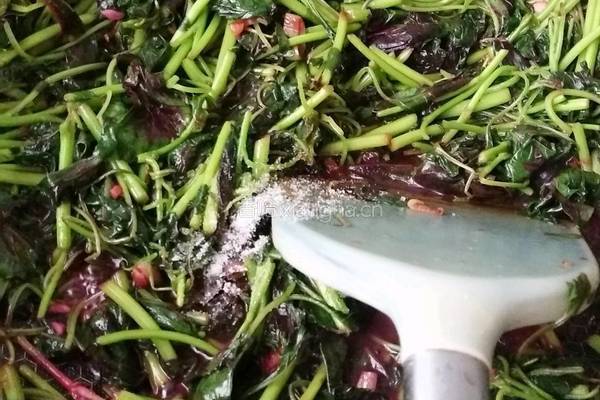 苋菜炒鸡蛋的做法图解9