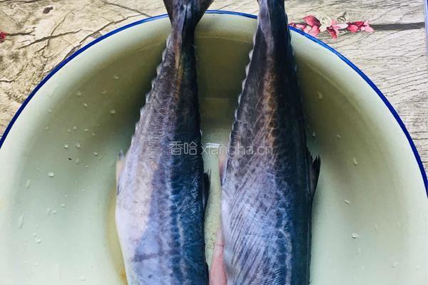 鲅鱼丸的做法图解1