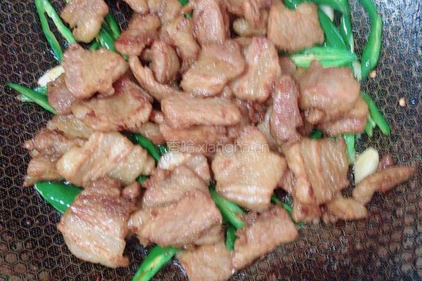小炒肉的做法图解7