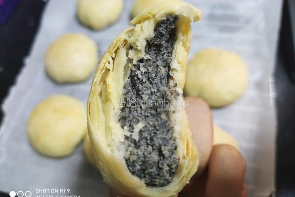 苏式芝麻月饼(黄油版)