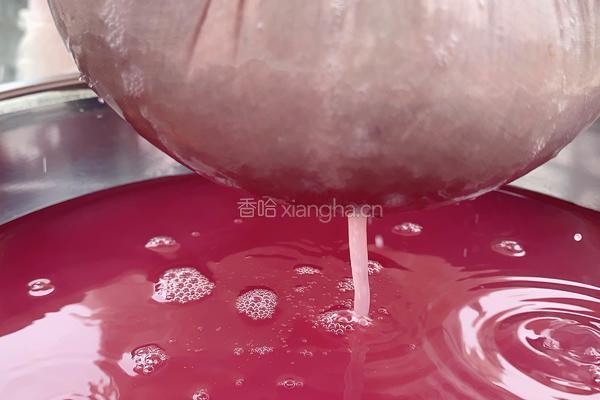 葡萄酒的酿制方法的做法图解6