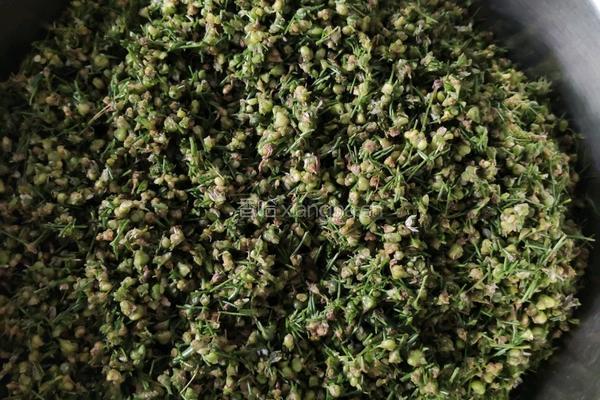 风味韭菜花的做法图解4