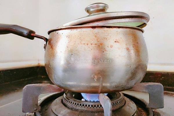 圣女果冰糖雪梨的做法图解9
