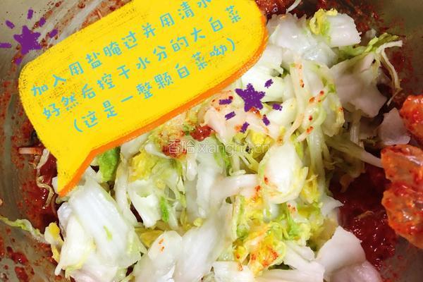 家庭版韩式辣白菜的做法图解7