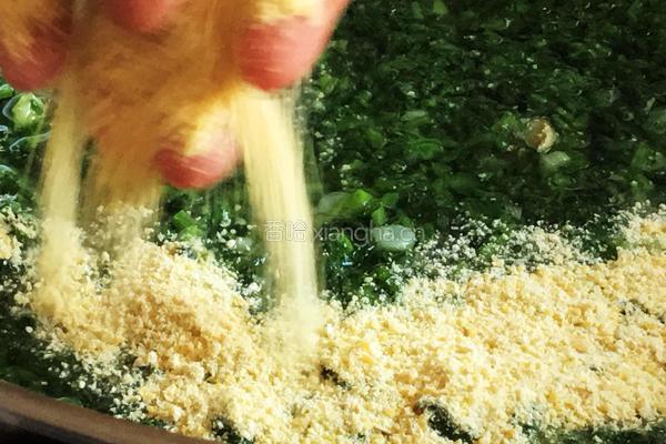 秋季养生小菜萝卜苗小豆腐的做法图解9