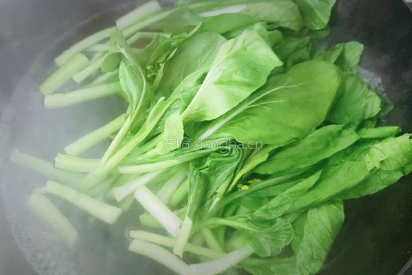 蒜蓉菜心的做法图解1