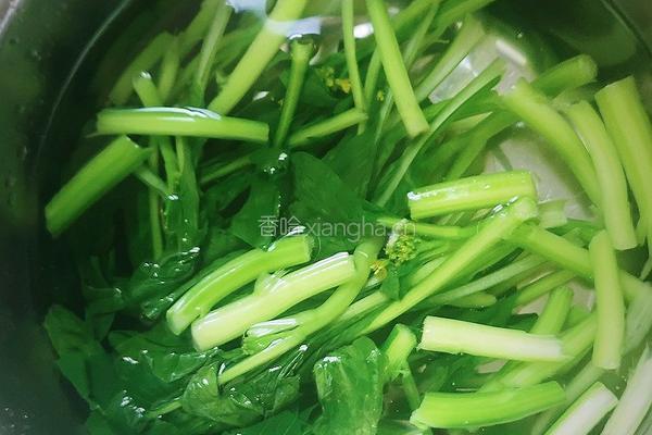 蒜蓉菜心的做法图解2