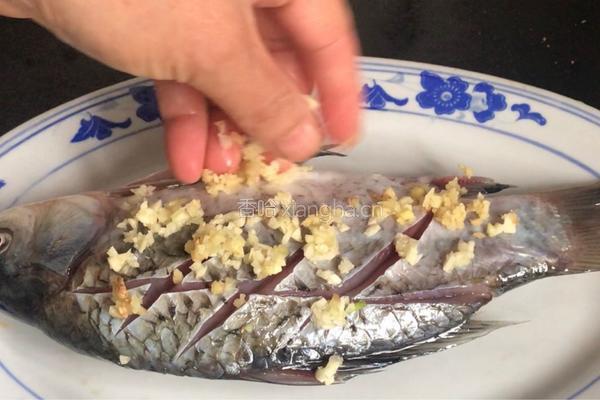枸杞蒸鲫鱼的做法图解5