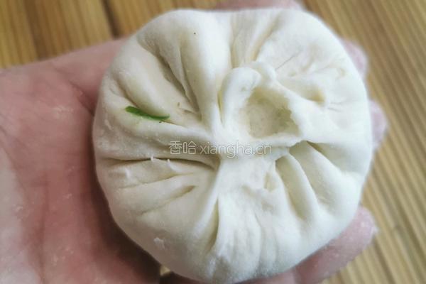 韭菜鸡蛋包子的做法图解19