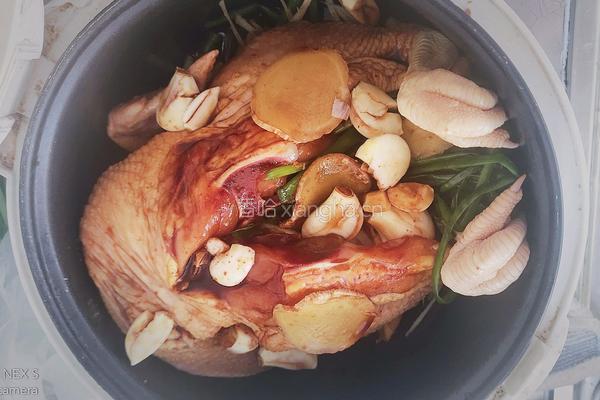 电饭煲焗鸡的做法图解4