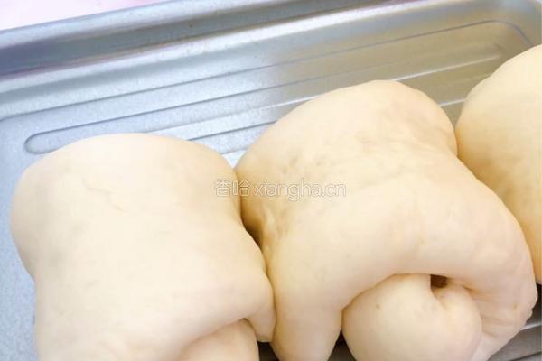 葡萄干卷包的做法图解25